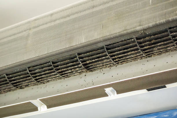 Best Affordable HVAC Duct Cleaning  in Sprague, WV